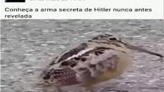 Секретное оружие Гитлера - порно видео