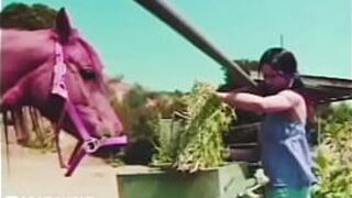 Стройная рабыня-шлюшка с лошадью !!!!! - порно видео